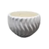 Modern Tabletop Gardening Pot with Unique Swirl Design
