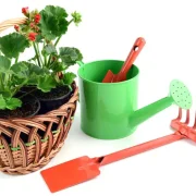 gardening category vins art house